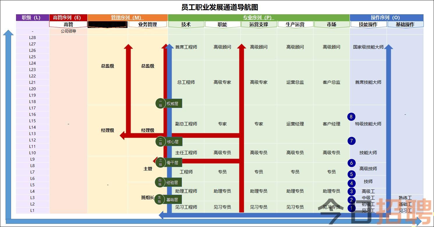 员工职业发展通道导航图.png